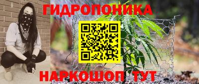 прущие грибы Малгобек