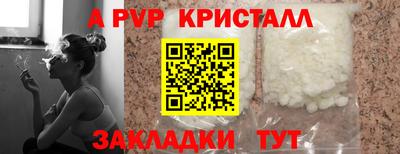 прущие грибы Малгобек