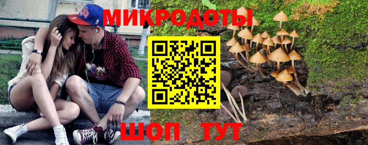 Псилоцибиновые грибы MAGIC MUSHROOMS Бузулук